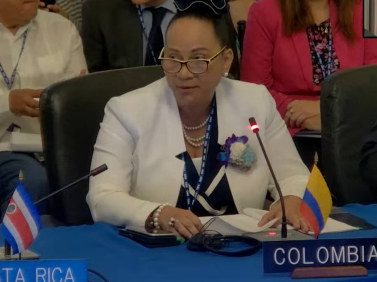 Paz total y privilegiar la vida: así fue la primera intervención de Colombia en la OEA