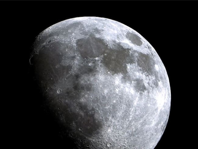 Científicos proponen enviar "Arca de Noé" a la Luna para salvaguardar las especies