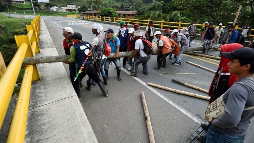 La SAC manifestó que los bloqueos por la minga indígena han afectado seriamente a productores de papa, leche, aguacate, fresa, cítricos, hortalizas, pollo, huevo, pescado y caña. Foto: Getty Images