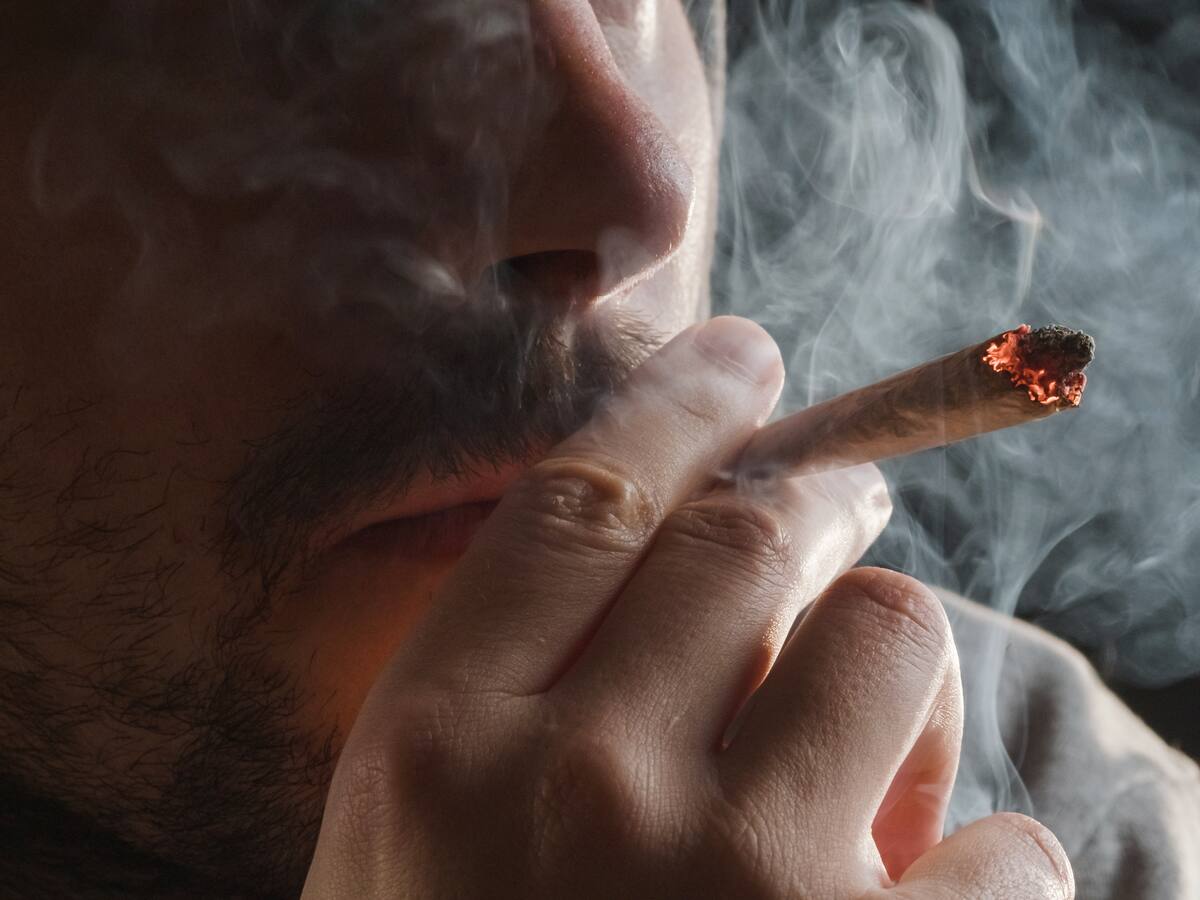 Consumo de cannabis se normaliza: ¿cuáles son los riesgos?
