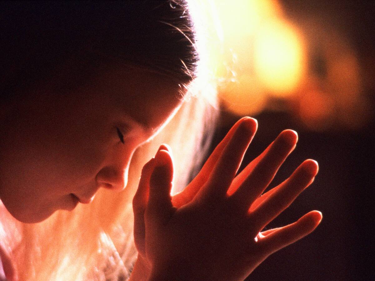 ¿Qué le pidió al niño Dios en esta Navidad? #AlNiñoDiosLePido
