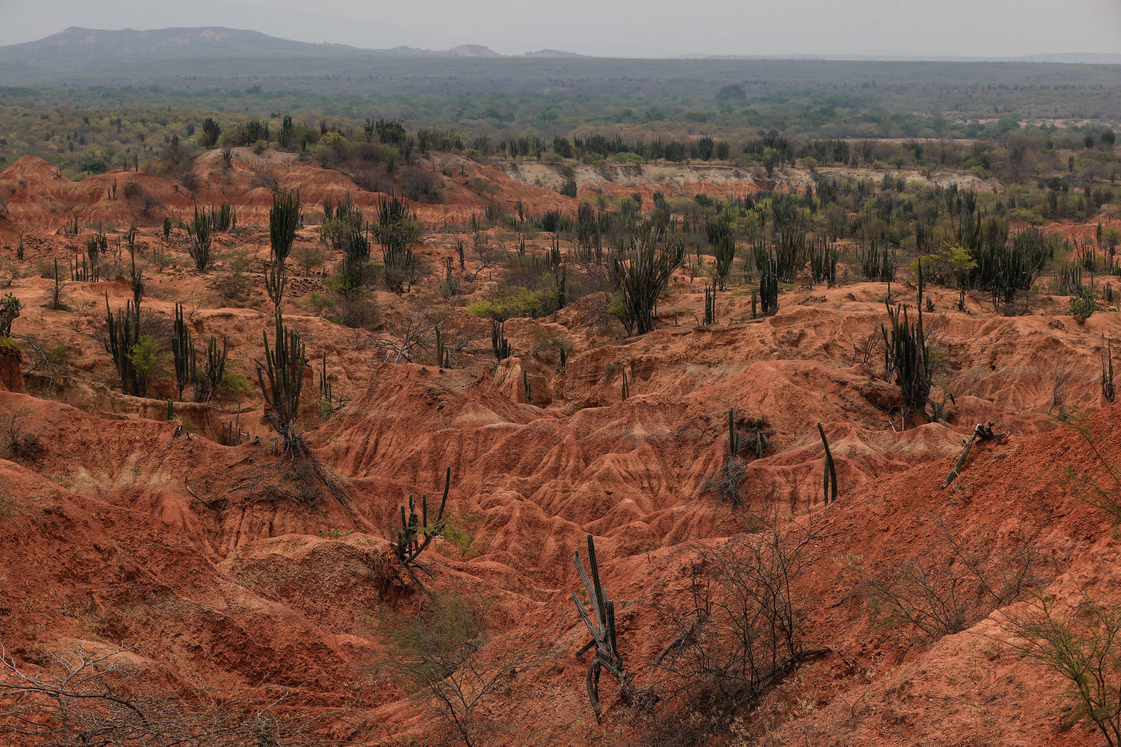 Desierto de La Tatacoa. Foto: Juancho Torres/Anadolu via Getty Images