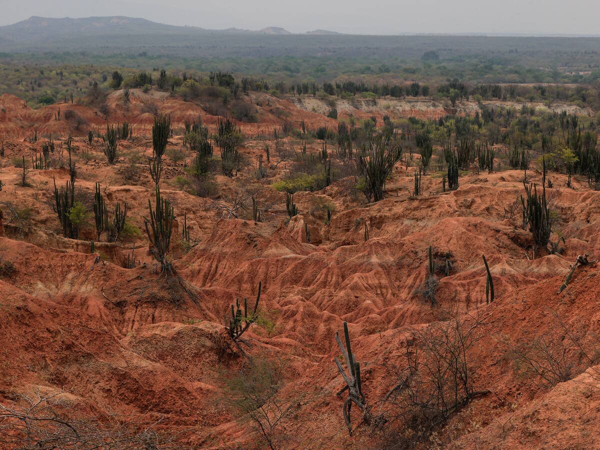 ¿Cuál es el desierto de Colombia que tiene fósiles marinos?