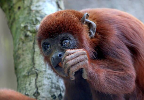 Imagen de referencia/ Getty Images