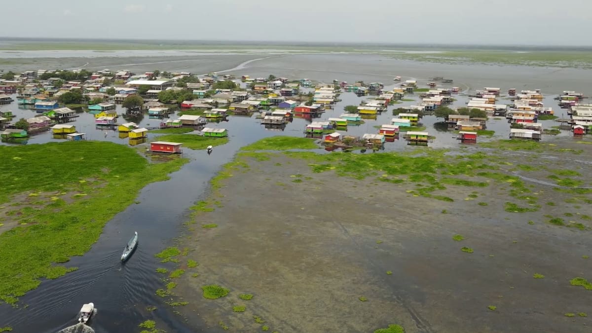 PGN hace llamado al MinAmbiente por emergencia ambiental causada en la Ciénaga Grande