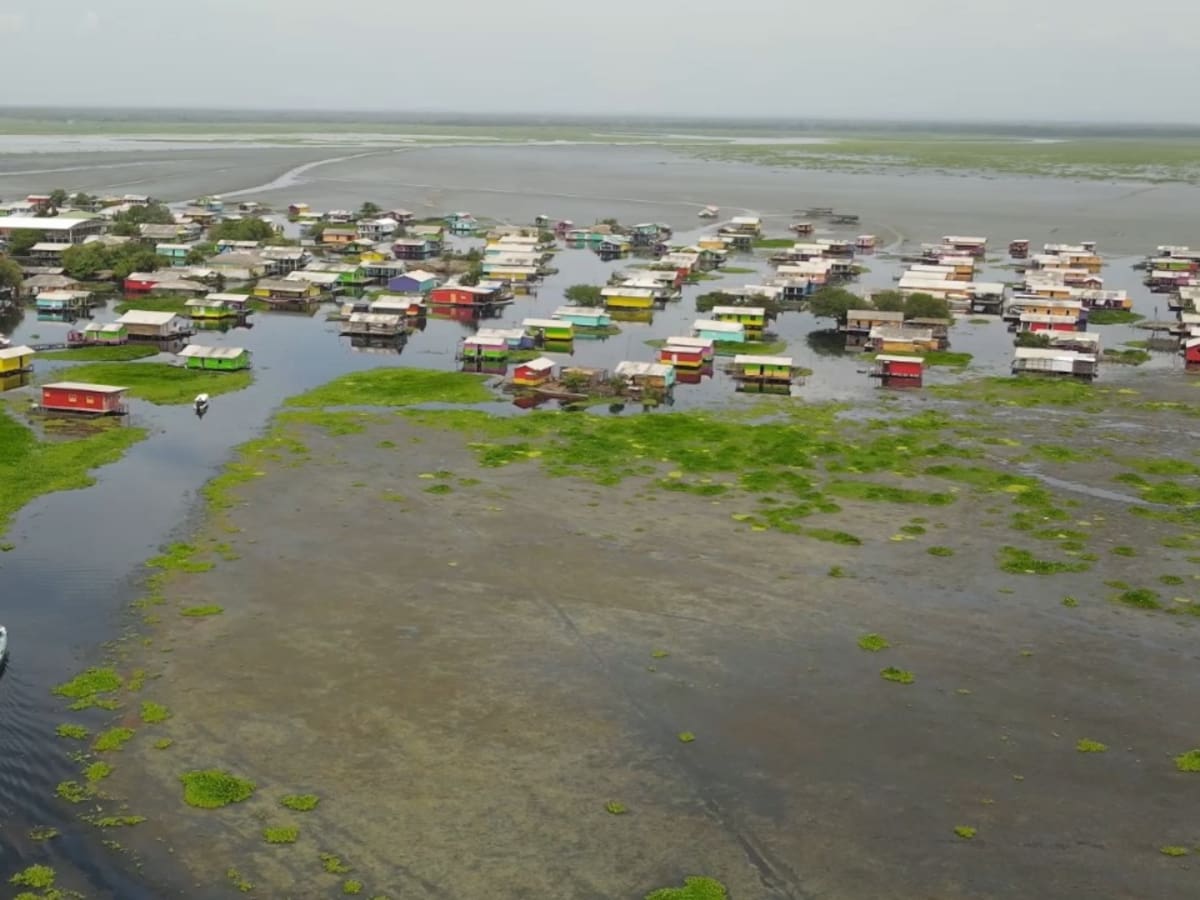 PGN hace llamado al MinAmbiente por emergencia ambiental causada en la Ciénaga Grande