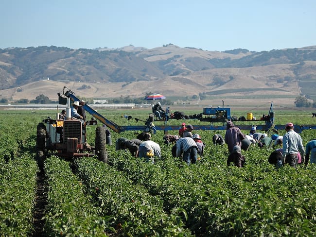 Campesinos. Foto: Getty Images