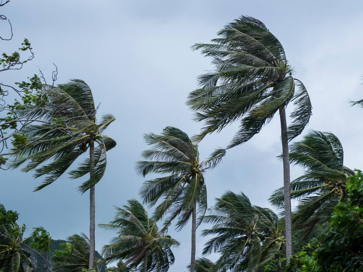 Aumentan a cinco las víctimas mortales por las fuertes tormentas en Córcega, Francia