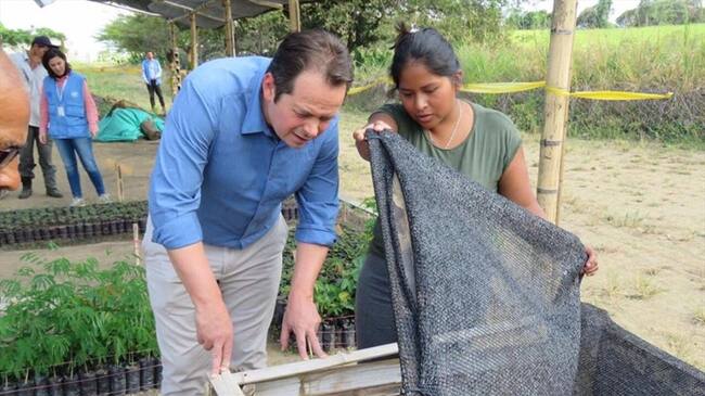 El Jefe de la Misión visitó la finca La Elvira en el municipio de Miranda, donde revisó los proyectos productivos que vienen ejecutando los excombatientes. Foto: ONU