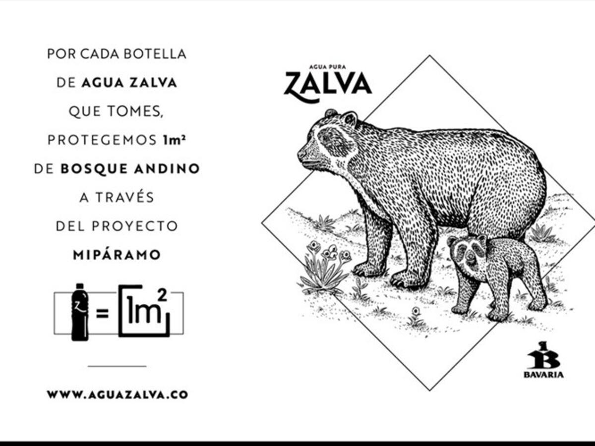 Agua Zalva, el nuevo producto de Bavaria para proteger los páramos colombianos