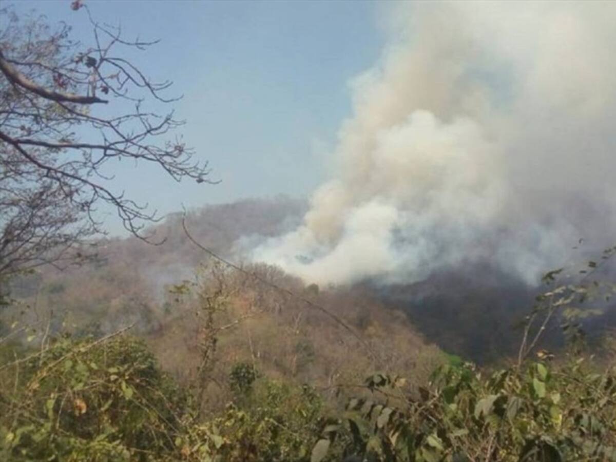 Nuevo incendio forestal afecta a la Sierra Nevada de Santa Marta