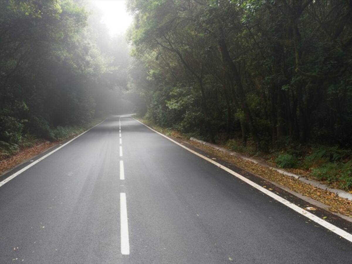 Invías anunció compromisos con comunidad de Loboguerero en la vía Buga - Buenaventura