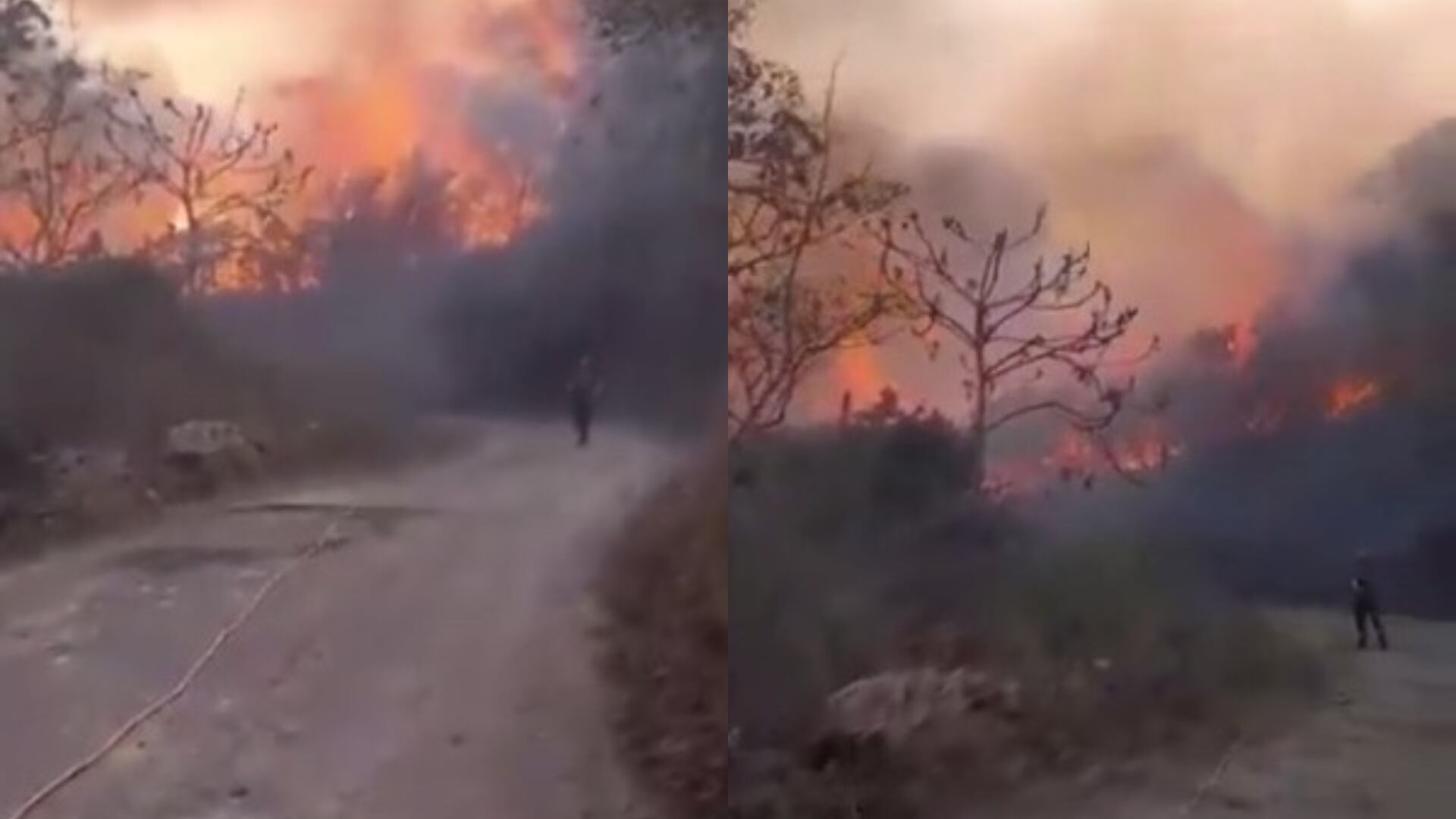 Incendios en Santander han consumido cerca de mil hectáreas de vegetación.