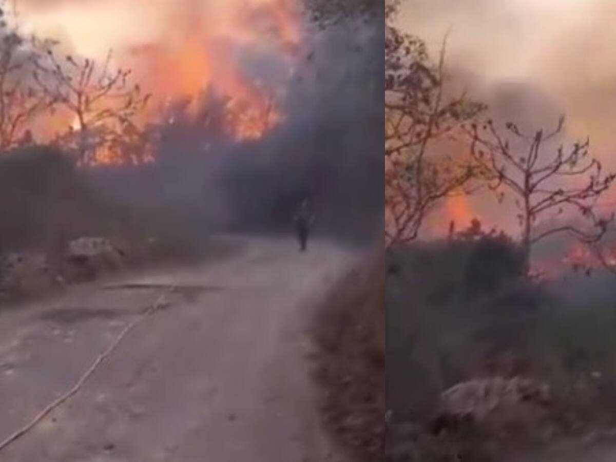 Incendios en Santander han consumido cerca de mil hectáreas de vegetación