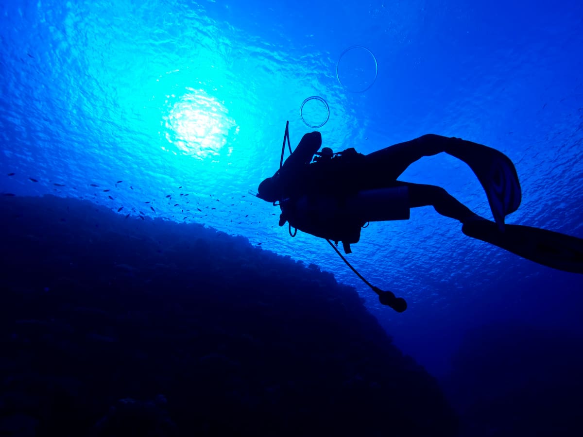 Profesor de EE.UU. batió récord mundial al vivir 74 días en un refugio submarino