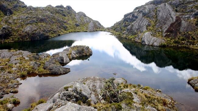 Páramo de Santurbán. Foto: Colprensa.