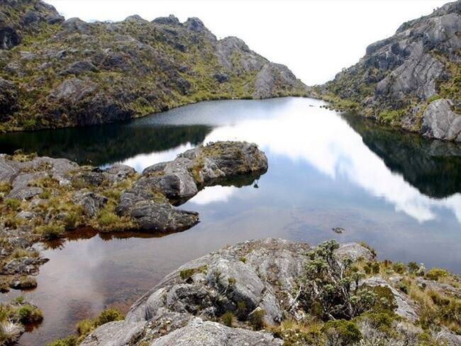 Páramo de Santurbán. Foto: Colprensa.