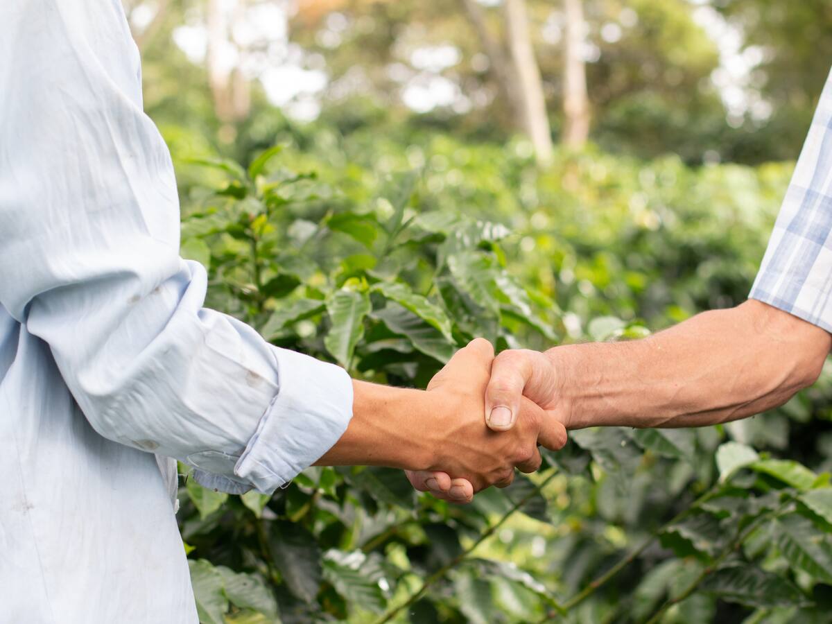 ¿Proyecto de ley beneficiaría a grandes empresas del agro?