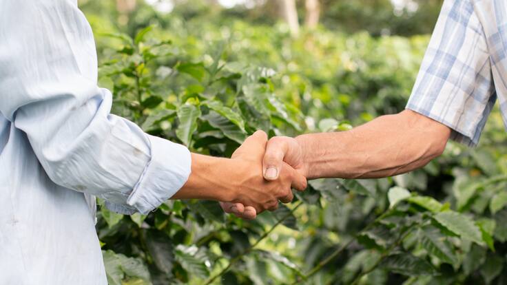 ¿Proyecto de ley beneficiaría a grandes empresas del agro?