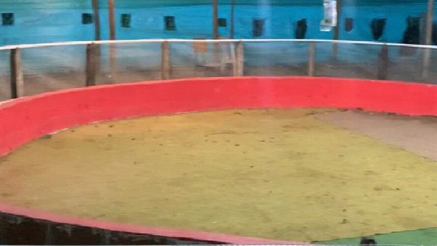 Gallera clandestina en Girón. . Foto: Policía Bucaramanga.