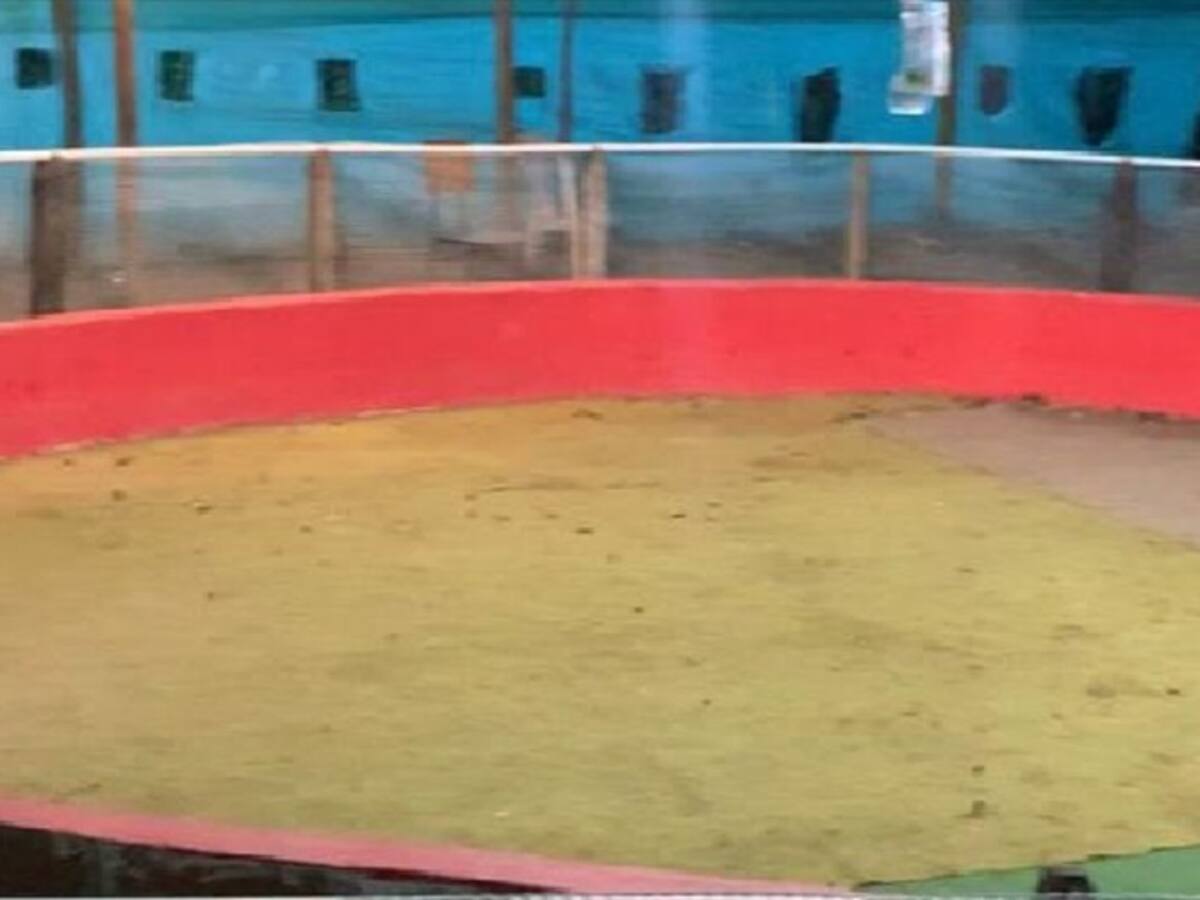 Descubren gallera clandestina en Girón, Santander