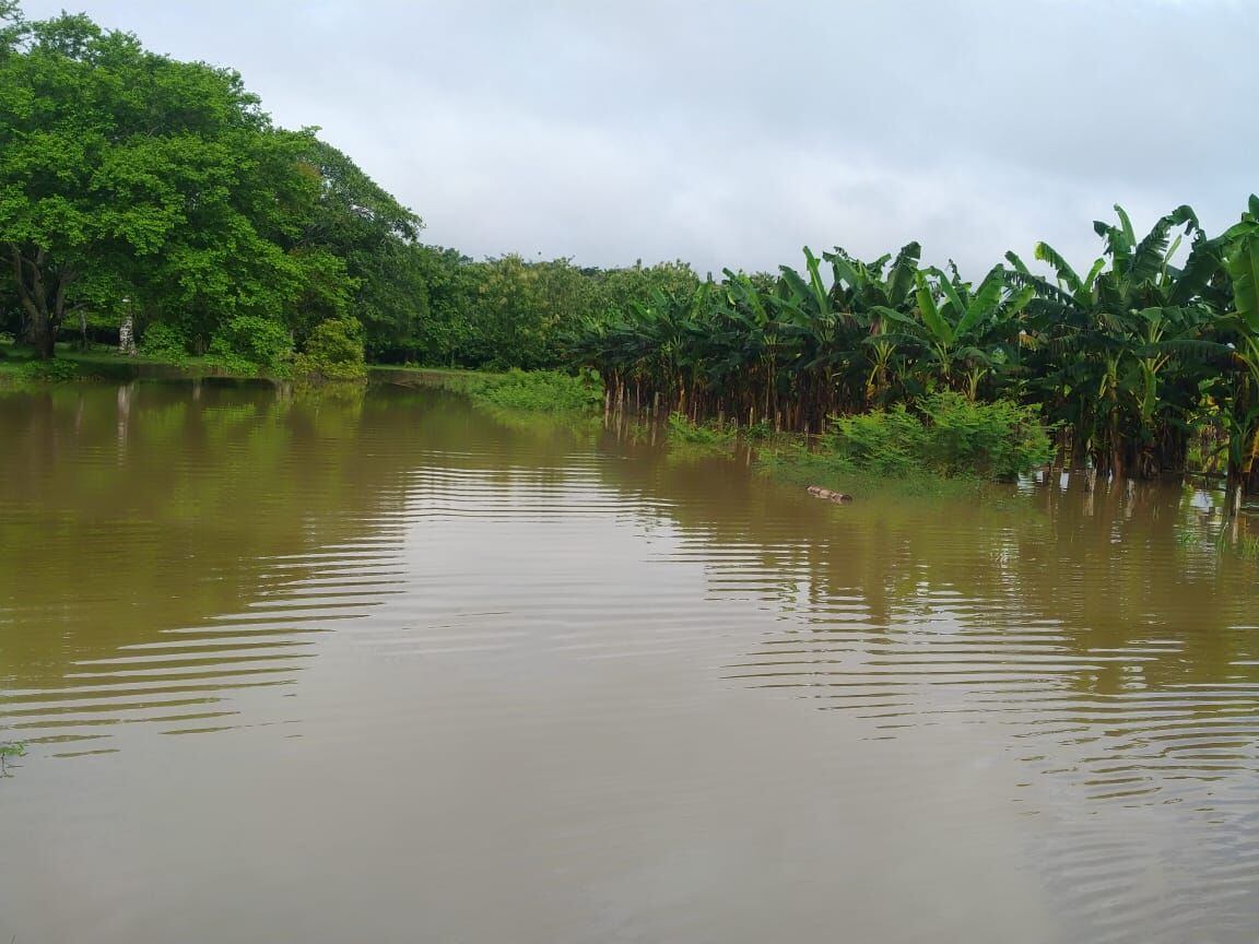  Aumenta cifra de damnificados en Córdoba por las inundaciones: van más 9.800 afectados. Foto: cortesía.