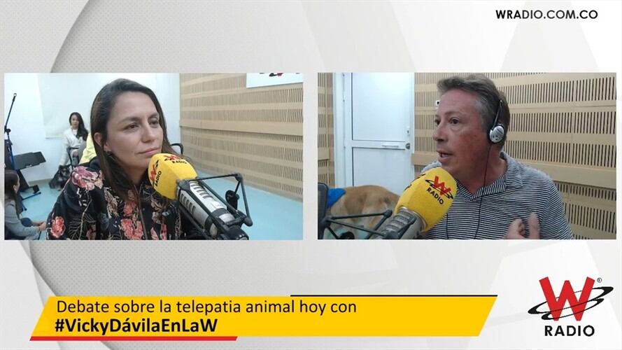 Mark Lee, experto. Foto: La WCon Vicky Dávila