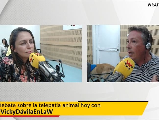 Mark Lee, experto. Foto: La WCon Vicky Dávila