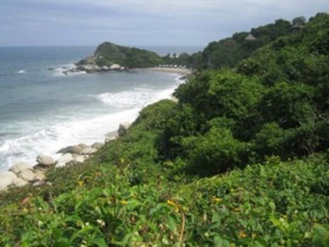 ¿Cómo se debe manejar el tema de los parques nacionales?