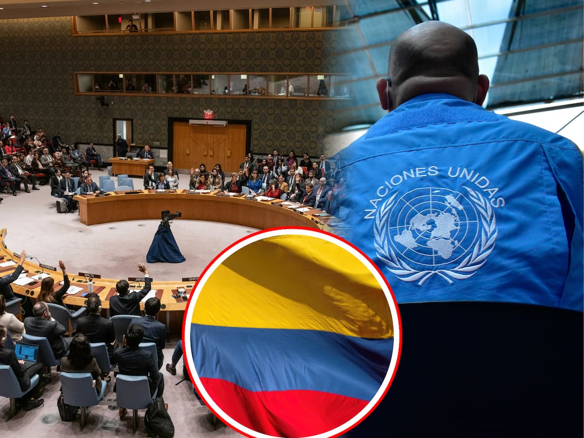 Consejo de Seguridad de la ONU tendrá tres reuniones sobre Colombia, esto se discutirá