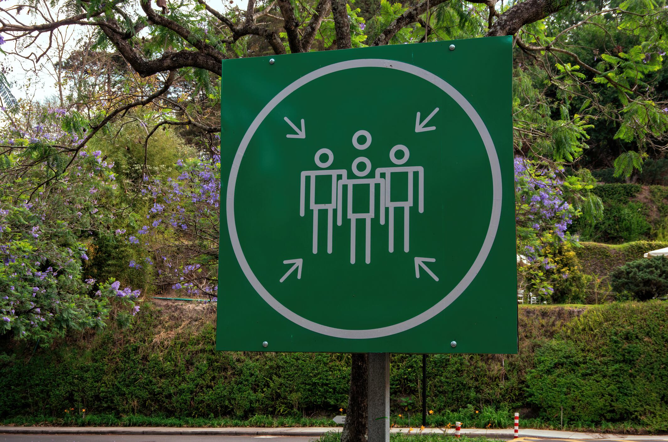 Simulacro de evacuación imagen de referencia. Foto: Getty Images.