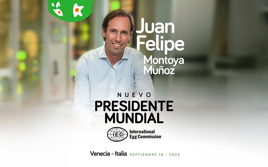 Juan Felipe Montoya Muñoz actual presidente de la compañía ‘Huevos Kikes’, y expresidente de la junta de la Federación Nacional de Avicultores de Colombia.