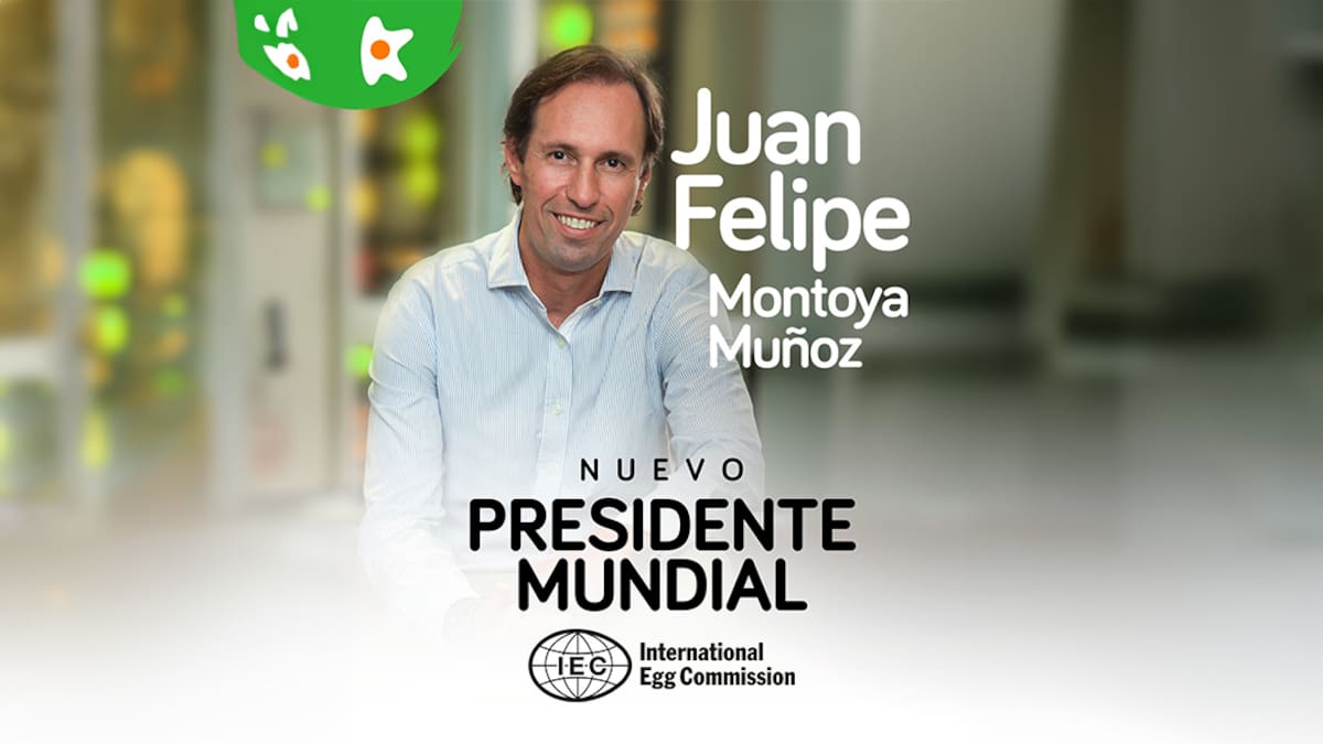 Comisión Internacional del Huevo tiene nuevo líder: Juan Felipe Montoya, de Huevos Kikes