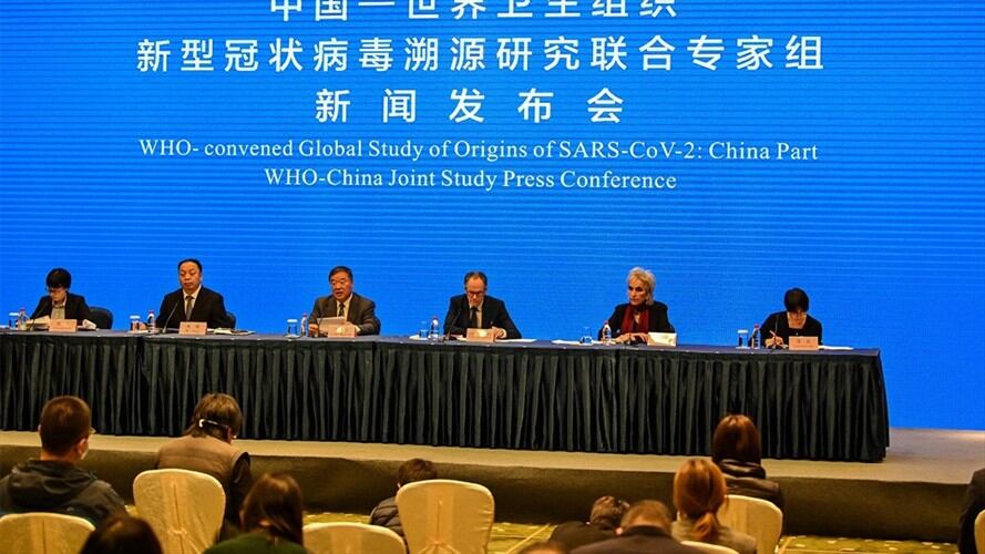 Además, no identificaron la especie animal que pudo ser responsable de transferir el virus a los seres humanos.. Foto: HECTOR RETAMAL / AFP