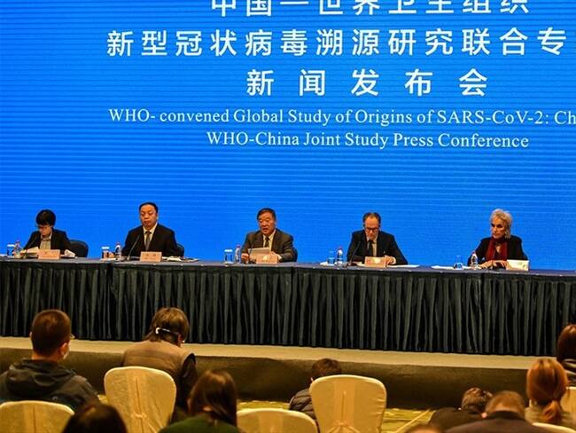 Además, no identificaron la especie animal que pudo ser responsable de transferir el virus a los seres humanos.. Foto: HECTOR RETAMAL / AFP