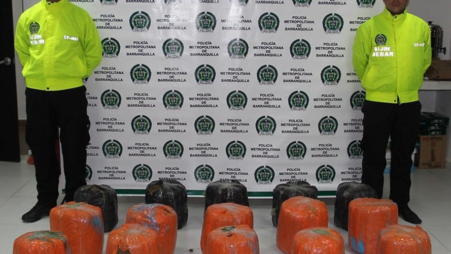 Imagen de referencia. Foto: Colprensa