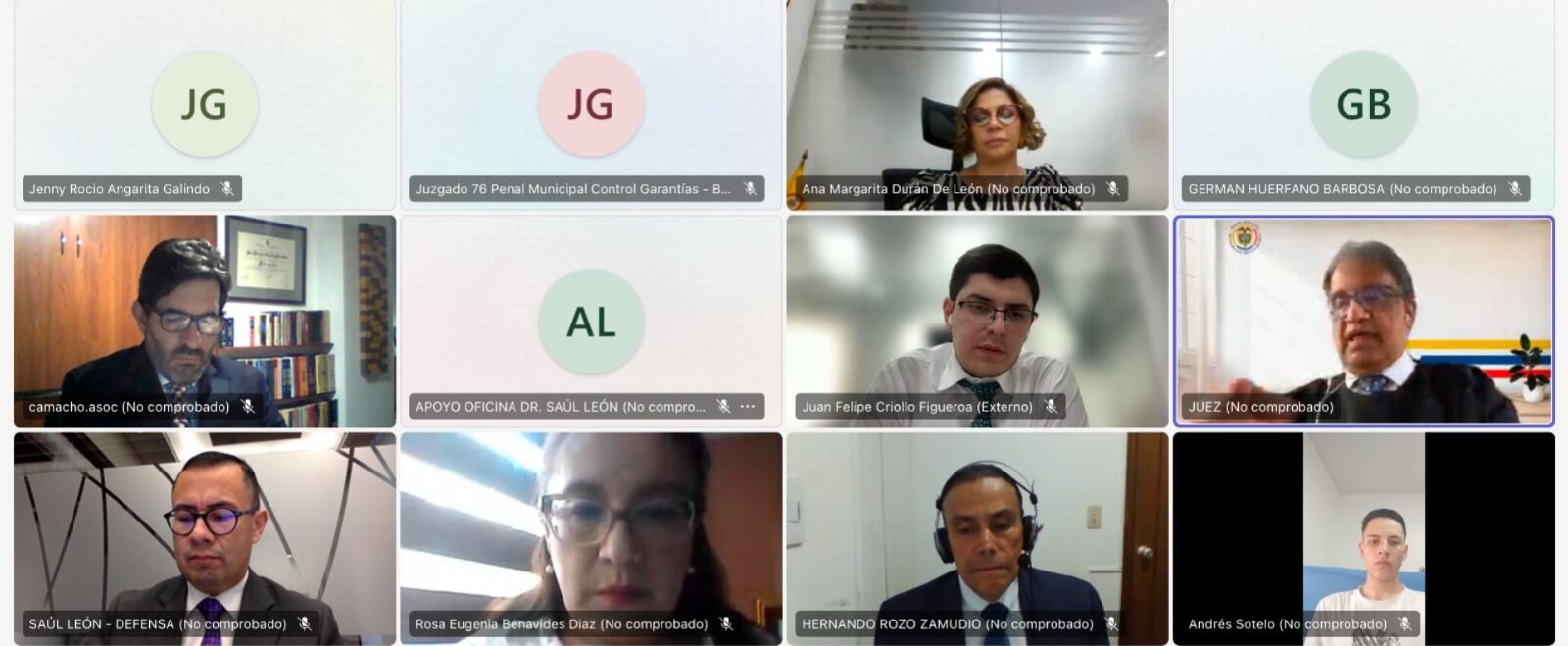 Audiencia caso Juan Felipe Rincón. 2 de diciembre de 2024. Foto: Captura de pantalla.