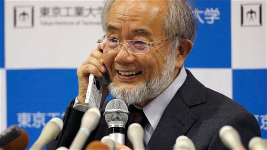 El biólogo japonés recibirá el premio Nobel de Medicina 2016 el 10 de diciembre en Estocolmo, Suecia. Foto: BBC Mundo