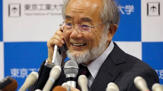 El biólogo japonés recibirá el premio Nobel de Medicina 2016 el 10 de diciembre en Estocolmo, Suecia. Foto: BBC Mundo