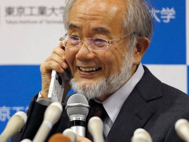 El biólogo japonés recibirá el premio Nobel de Medicina 2016 el 10 de diciembre en Estocolmo, Suecia. Foto: BBC Mundo