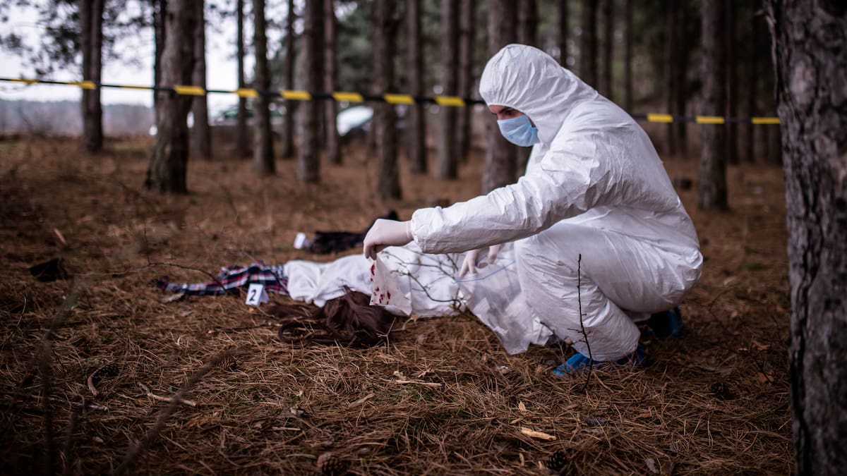 Informe reveló expansión de la ‘Junta del Narcotráfico’ y advierte aumento de homicidios en Bogotá