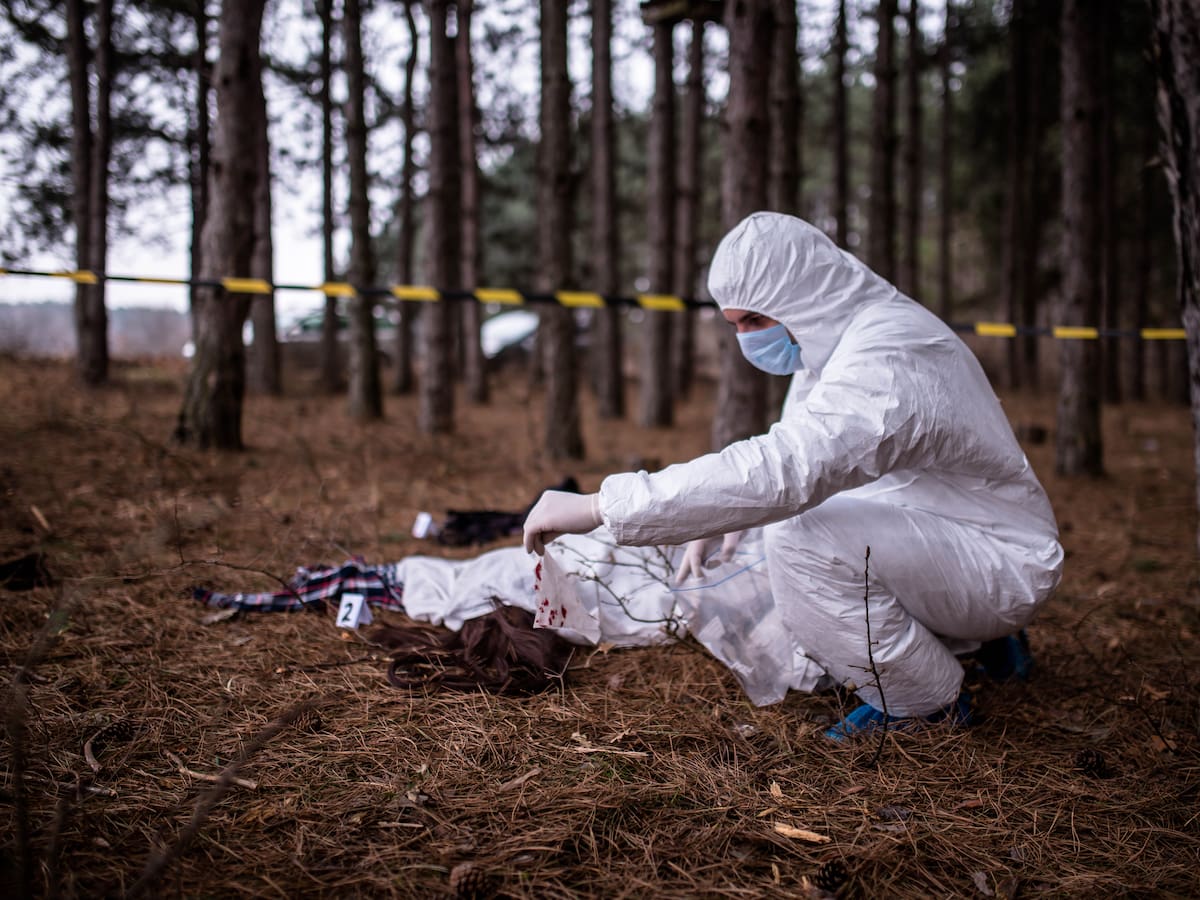 Informe reveló expansión de la ‘Junta del Narcotráfico’ y advierte aumento de homicidios en Bogotá