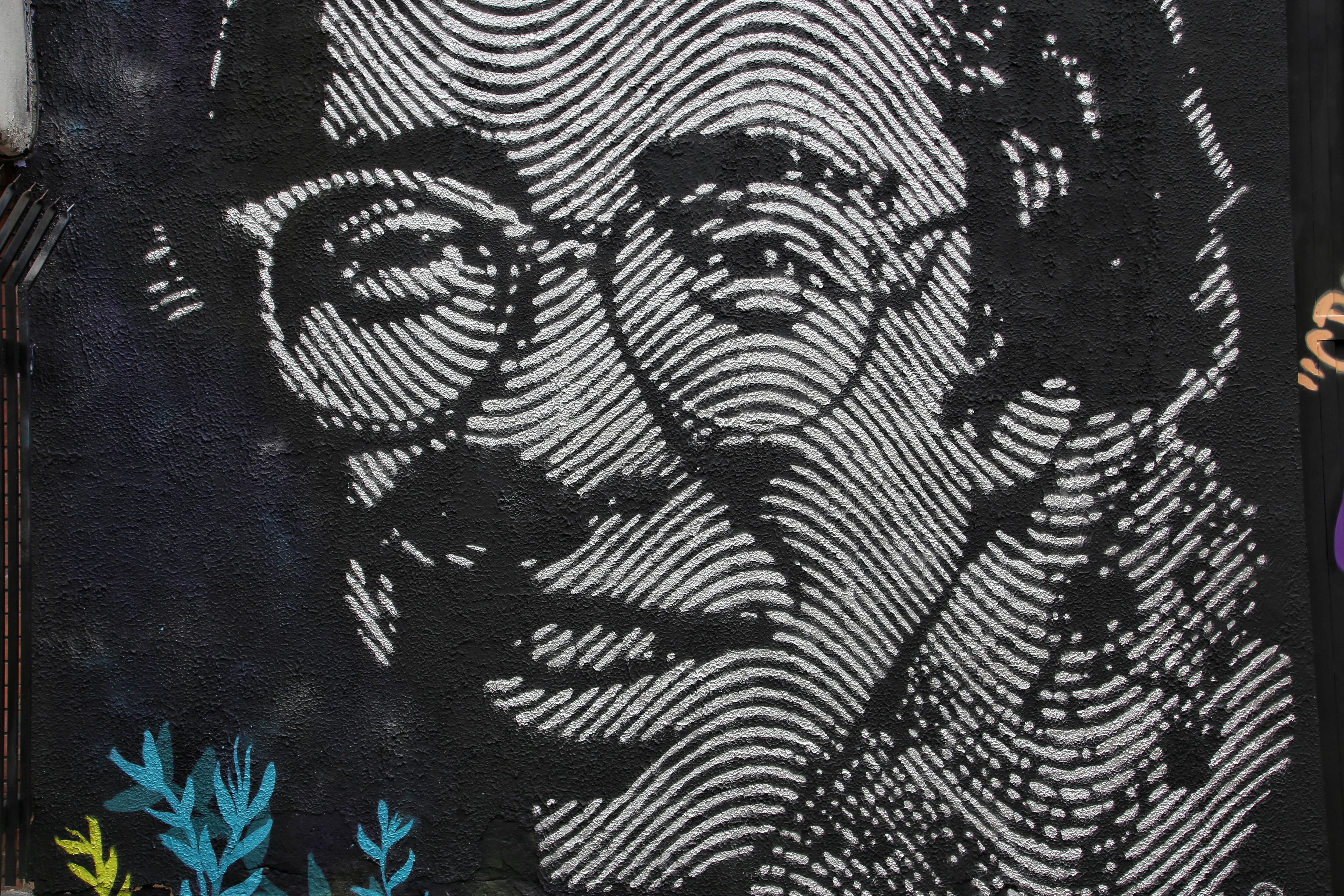 Bogotá.Agosto 13 de 2019. Comemoración de los 20 años del asesinato de Jaime Garzón (Colprensa - Camila Díaz)