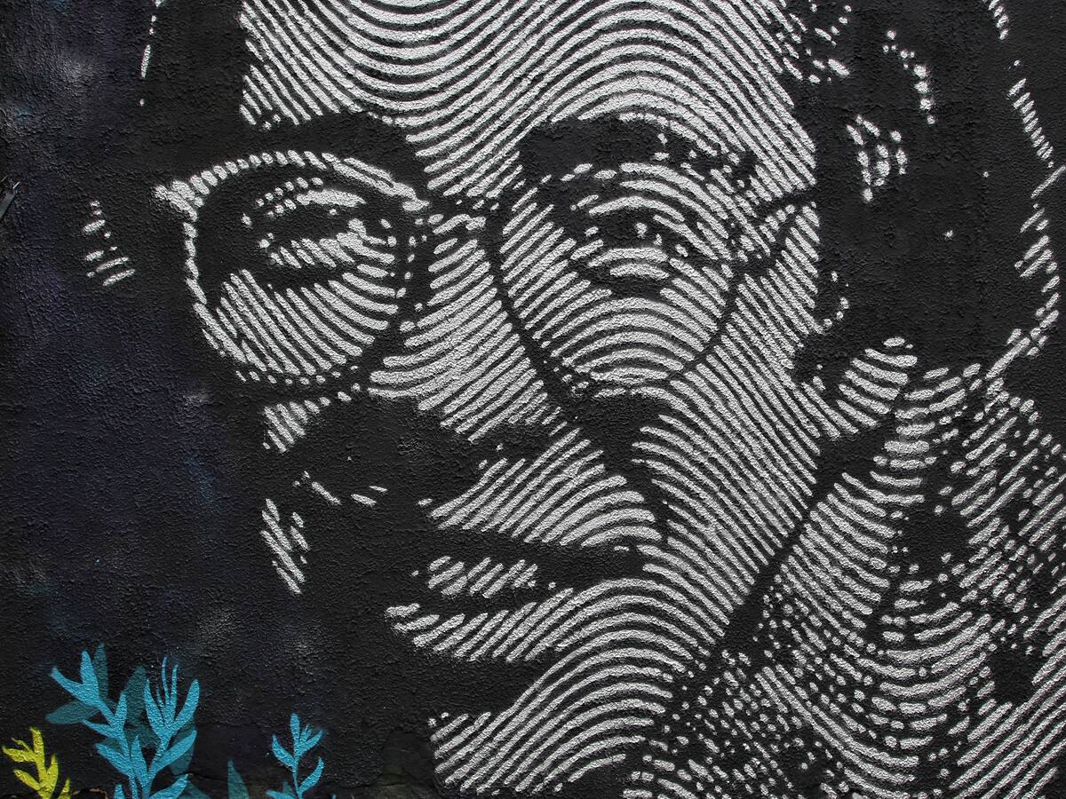 Caso Jaime Garzón: condenan a la Nación por perjuicios morales a excompañera del humorista