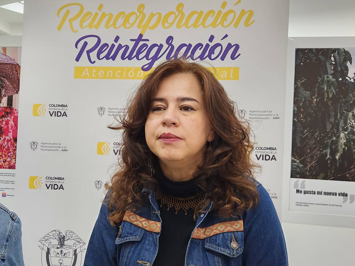 Esperamos que decisiones del Gobierno generen estabilización: ARN sobre crisis en el Catatumbo