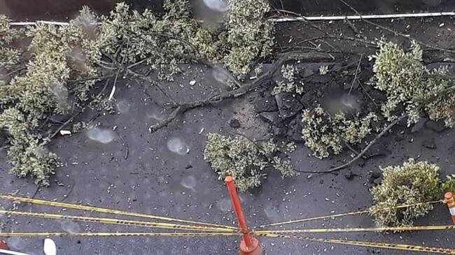 Los ciudadanos de Manizales han manifestado su inconformidad en varias ocasiones debido a que la Administración Municipal ha talado varios árboles en las principales vías. Foto: Adrián Rodríguez