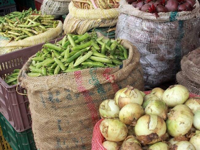 Según el reporte entregado por Cavasa, el costo de varios productos de la canasta familiar tienen tendencia a la baja. Foto: Colprensa