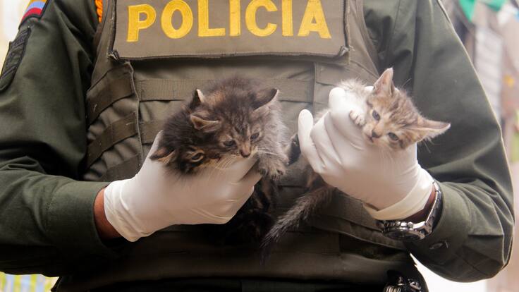 Marlon Velazco, el policía que se dedica a alimentar y cuidar animales callejeros