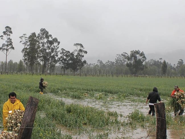 Alerta por lluvias en siete municipios de Boyacá . Foto: Colprensa