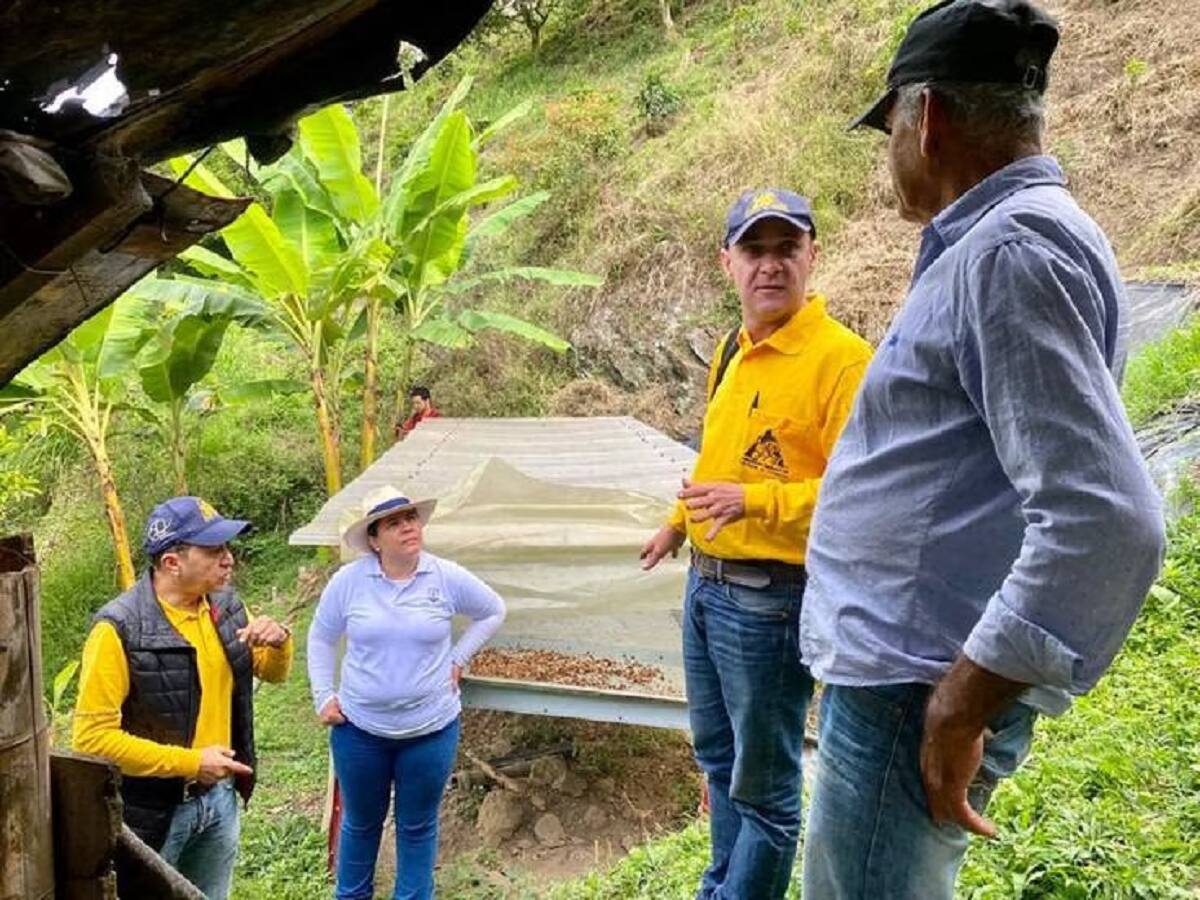 Caficultores de Manizales se beneficiaron tras un convenio de productividad